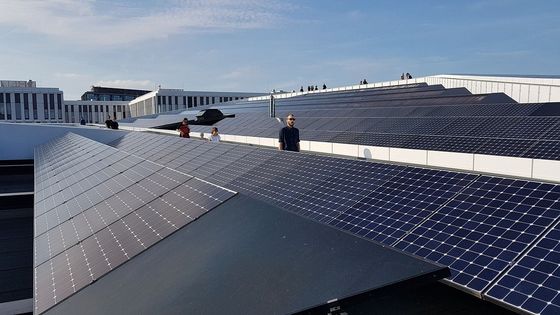 144cells Mono Perc Bifacial N Type Solar Panel 100W 96 Cells 500W 520W 530W 540W 440w